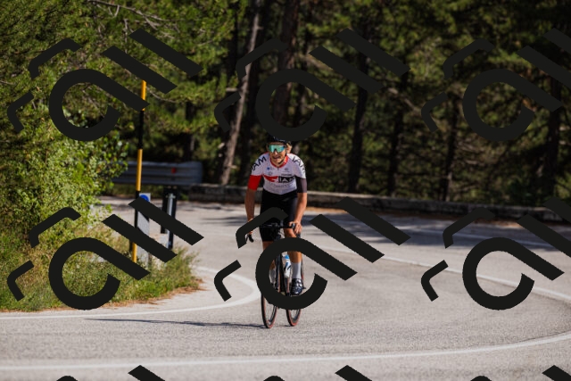 202509061436-_04A7117_c3