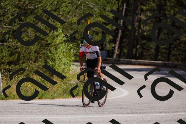 202509061436-_04A7119_c3