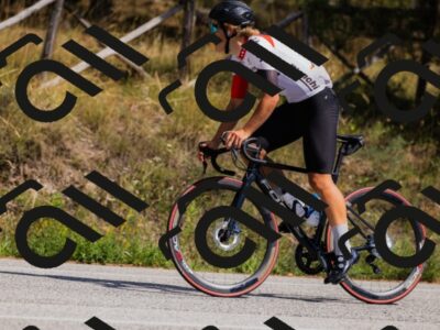 202509061436-_04A7125_c3