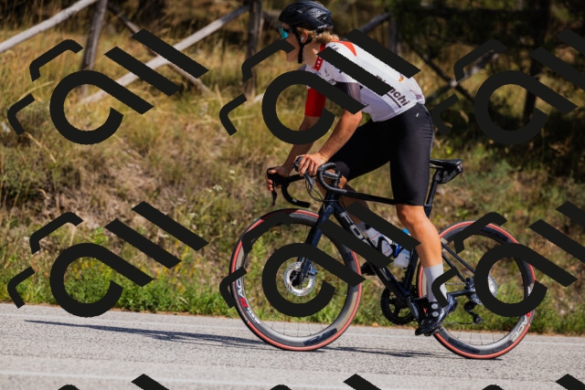 202509061436-_04A7125_c3