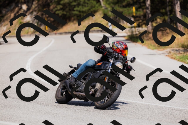 202509061437-_04A7132_c3