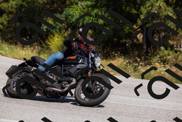 202509061437-_04A7133_c3