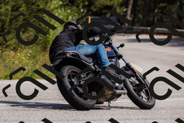 202509061437-_04A7136_c3