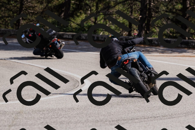 202509061437-_04A7138_c3