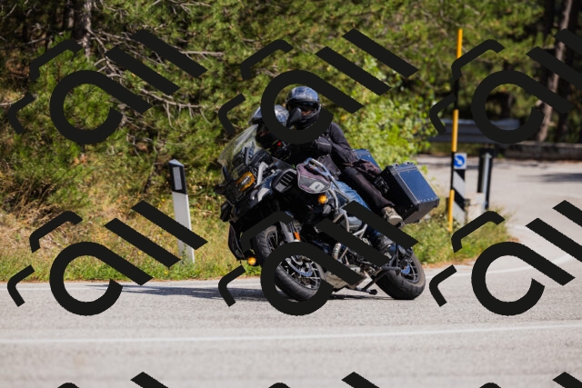 202509061437-_04A7142_c3