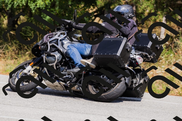 202509061437-_04A7146_c3