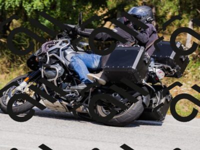 202509061437-_04A7146_c3