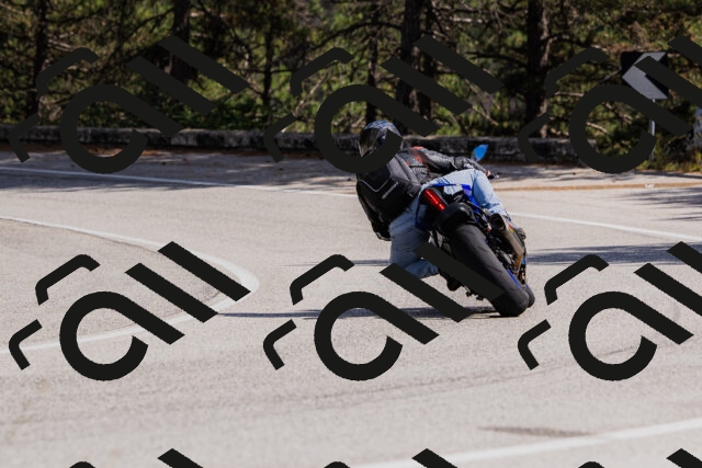 202509061439-_04A7157_c3