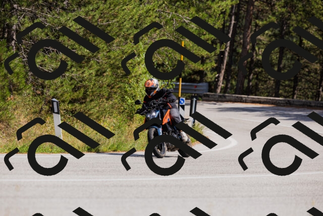 202509061439-_04A7158_c3