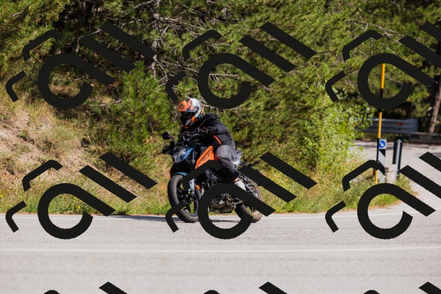 202509061439-_04A7159_c3