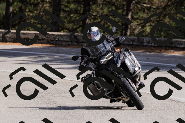 202509061439-_04A7163_c3