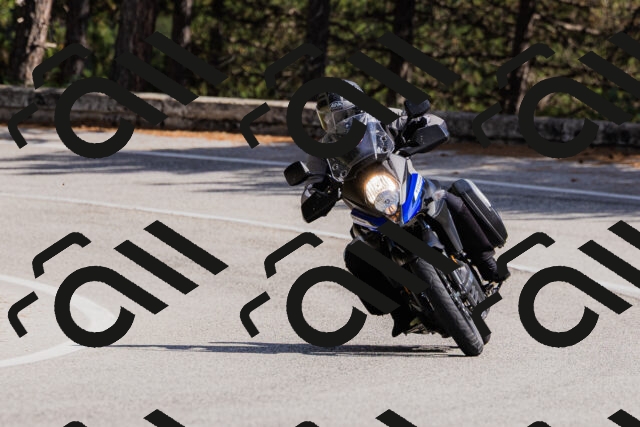 202509061440-_04A7175_c3