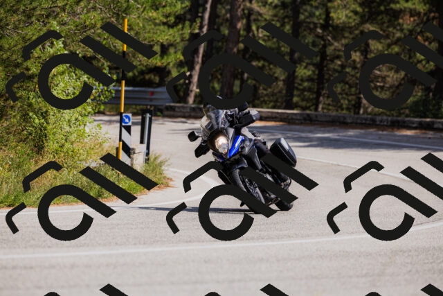 202509061440-_04A7176_c3