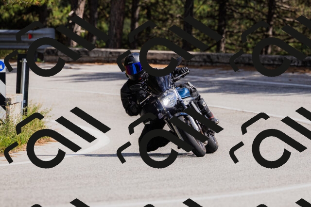 202509061441-_04A7184_c3