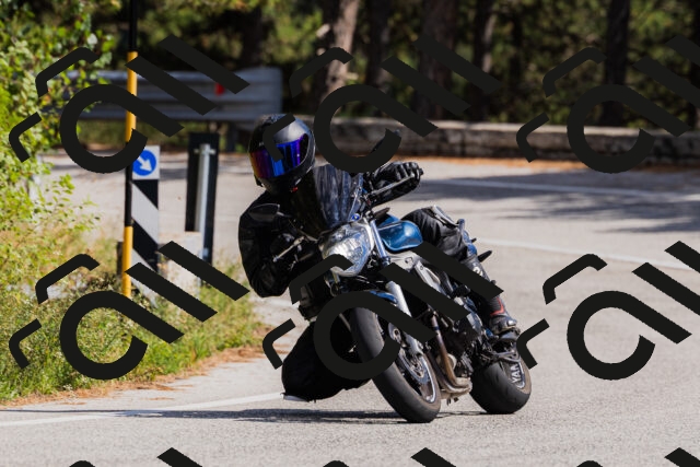 202509061441-_04A7185_c3