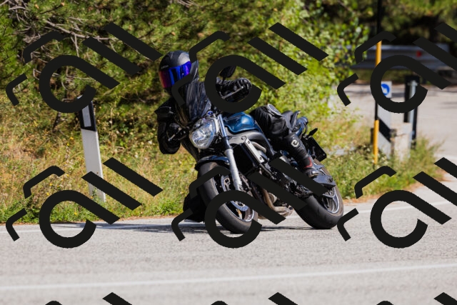 202509061441-_04A7186_c3