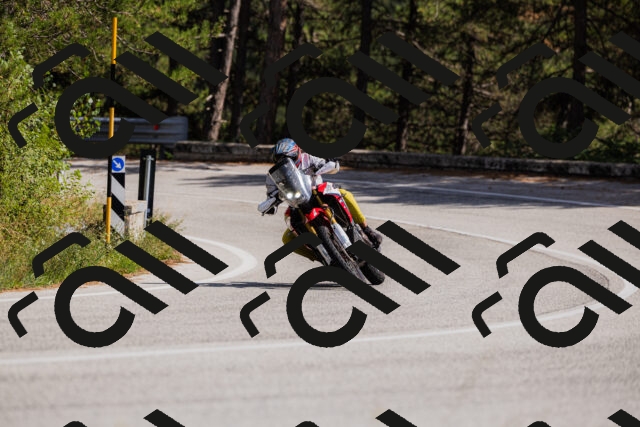 202509061441-_04A7190_c3