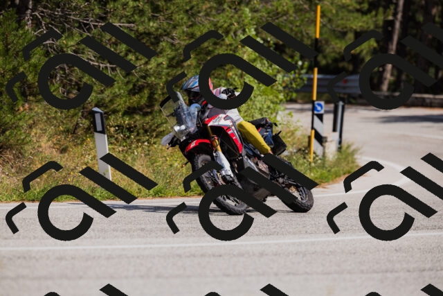 202509061441-_04A7192_c3