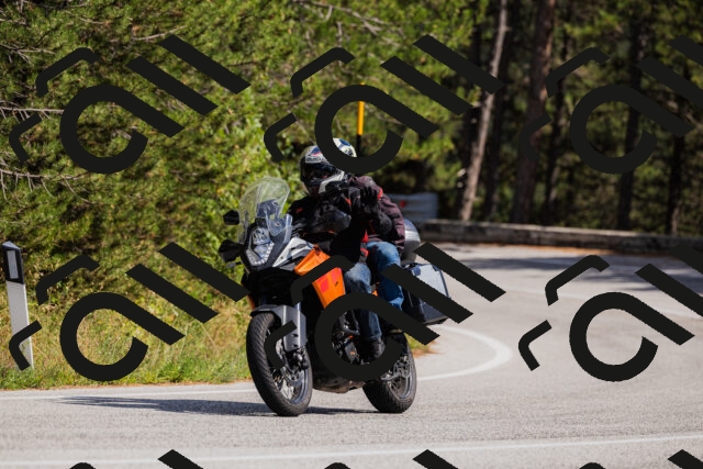 202509061442-_04A7193_c3