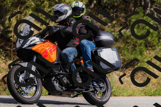 202509061442-_04A7195_c3