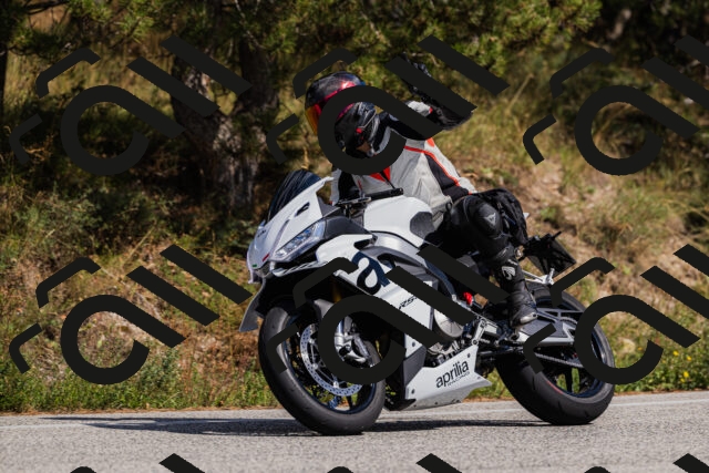 202509061442-_04A7203_c3