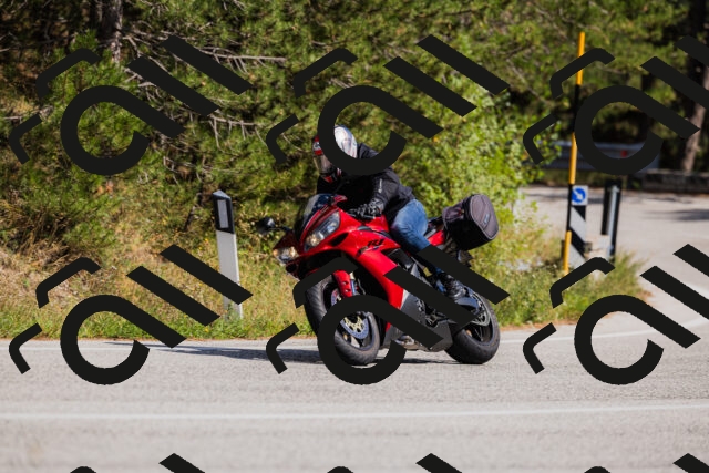 202509061443-_04A7213_c3