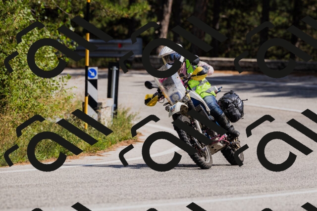 202509061444-_04A7217_c3