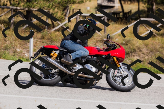 202509061444-_04A7224_c3