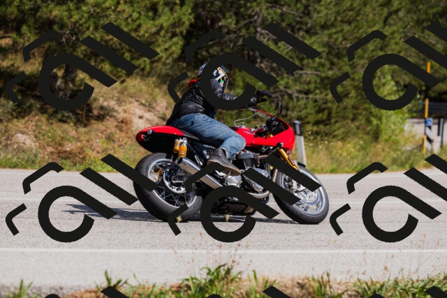 202509061444-_04A7225_c3