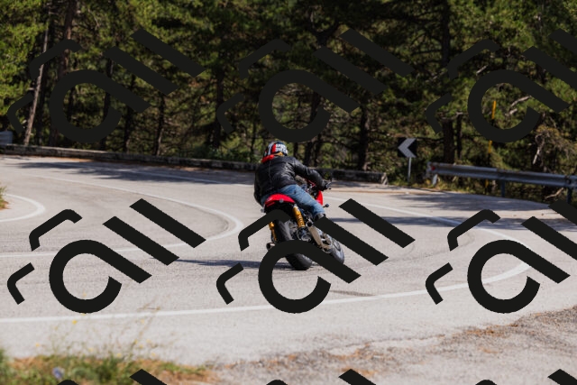 202509061444-_04A7227_c3