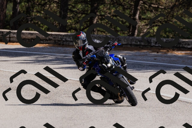 202509061445-_04A7229_c3