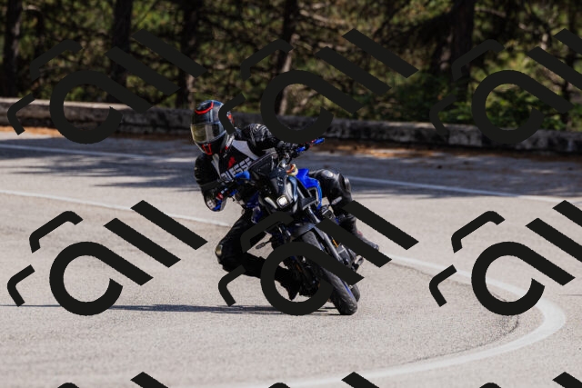 202509061445-_04A7231_c3