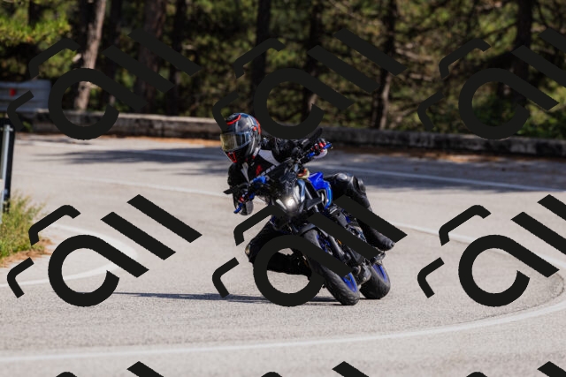 202509061445-_04A7232_c3