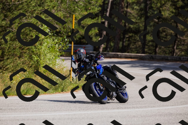 202509061445-_04A7233_c3