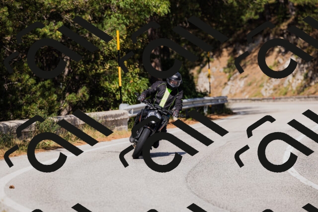 202509061446-_04A7235_c3