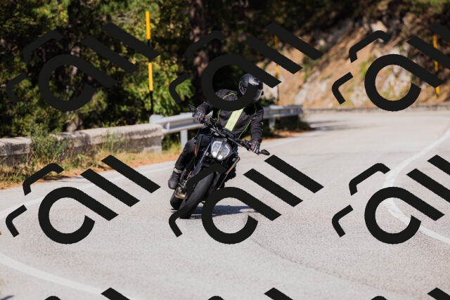 202509061446-_04A7236_c3