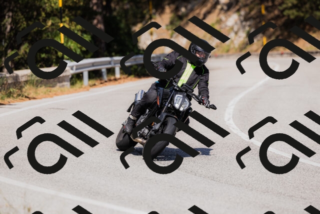 202509061446-_04A7237_c3