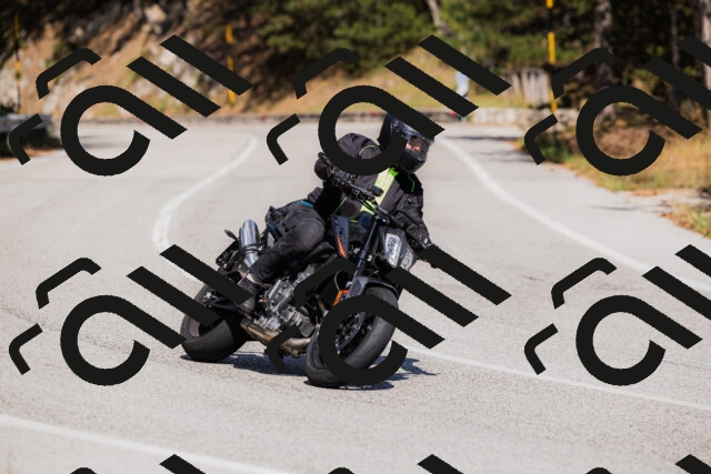 202509061446-_04A7238_c3