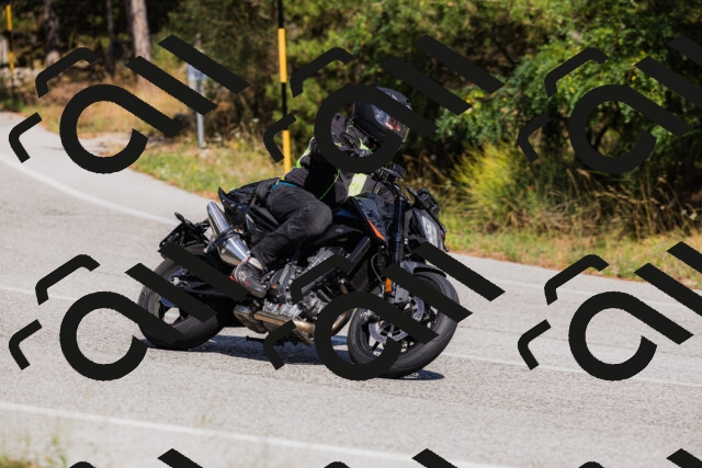 202509061446-_04A7239_c3