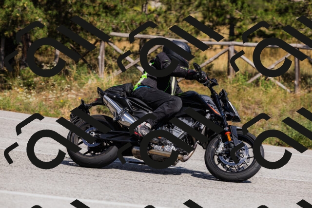 202509061446-_04A7240_c3