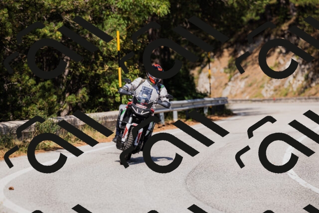 202509061446-_04A7246_c3