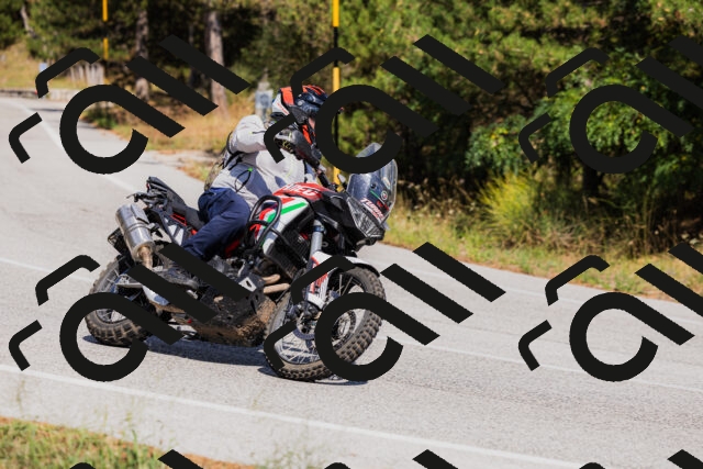 202509061446-_04A7248_c3