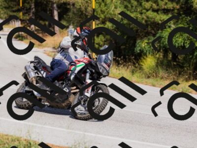 202509061446-_04A7248_c3