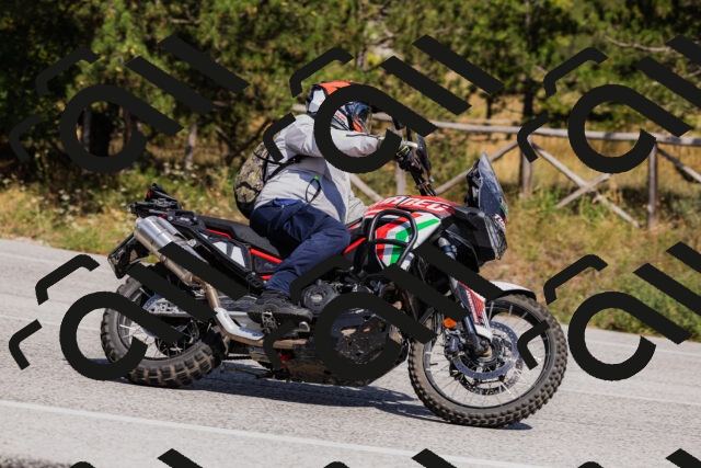 202509061446-_04A7249_c3