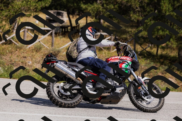 202509061446-_04A7250_c3