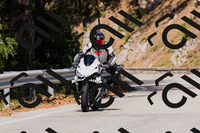 202509061452-_04A7265_c3