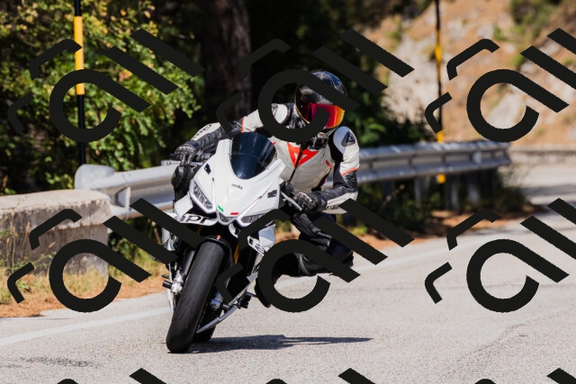 202509061452-_04A7267_c3