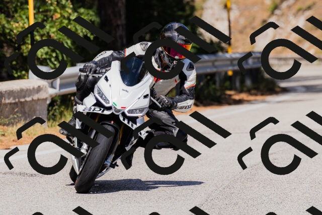 202509061452-_04A7268_c3