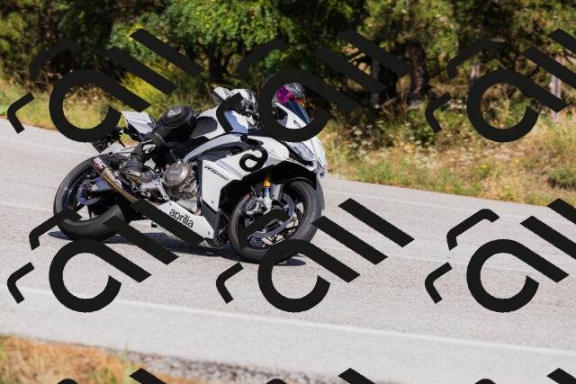 202509061452-_04A7272_c3