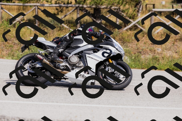 202509061452-_04A7273_c3